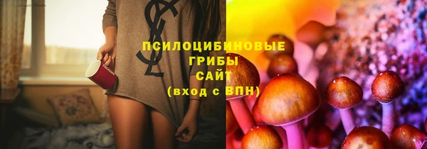 apvp Куйбышев