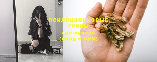 ешки Кукмор
