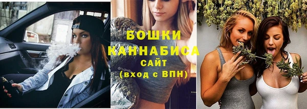 ешки Лагань