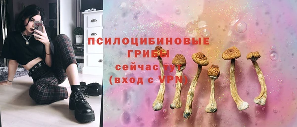 гашик Красноперекопск
