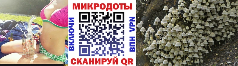 Галлюциногенные грибы прущие грибы  Кушва 